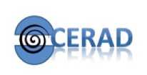 CERAD logo